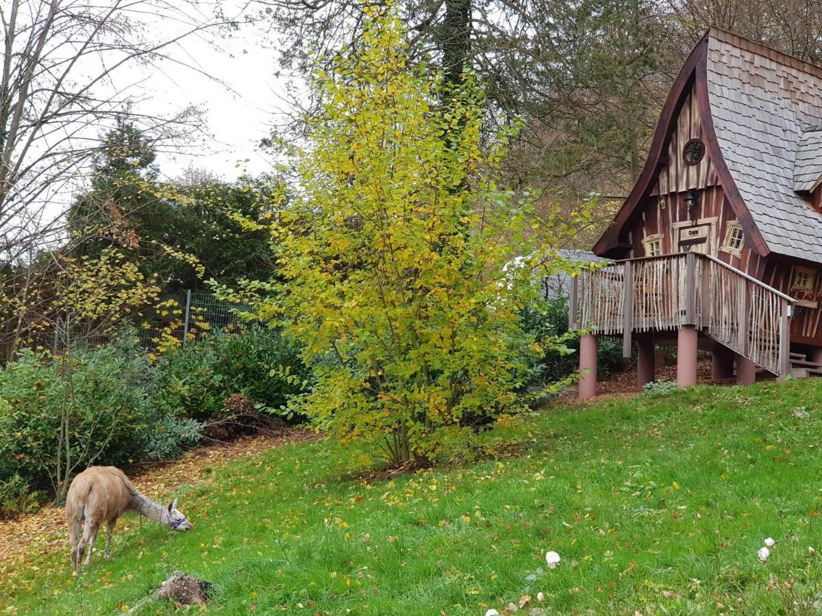 Hexenhaeuschen Am Waldrand Villa Annweiler am Trifels Ngoại thất bức ảnh